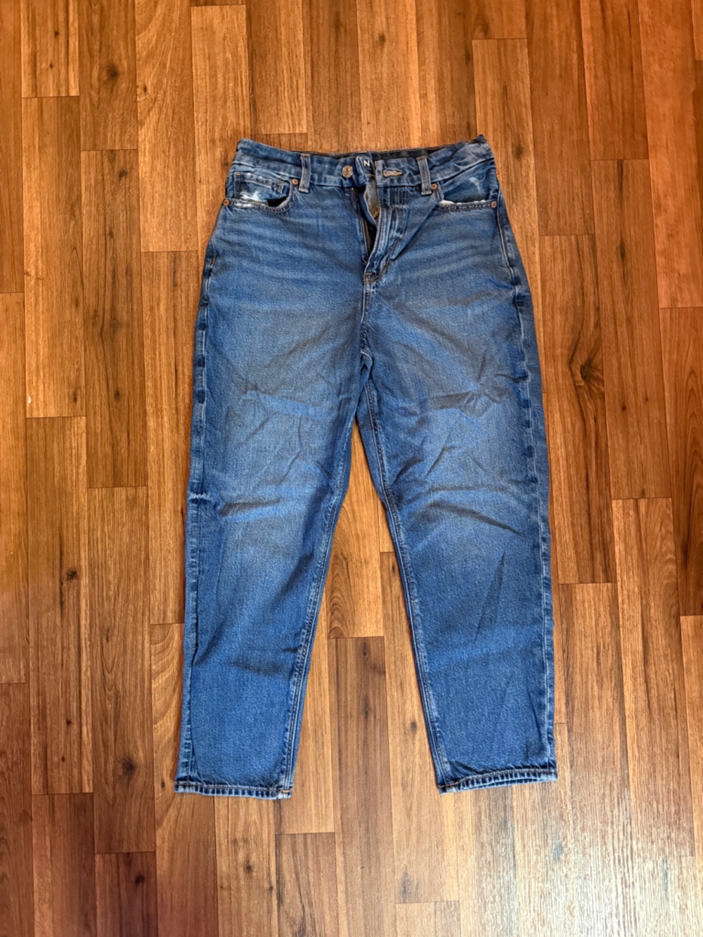 American Eagle Outfitters Women’s Strigid Mom Jean- Free Shipping